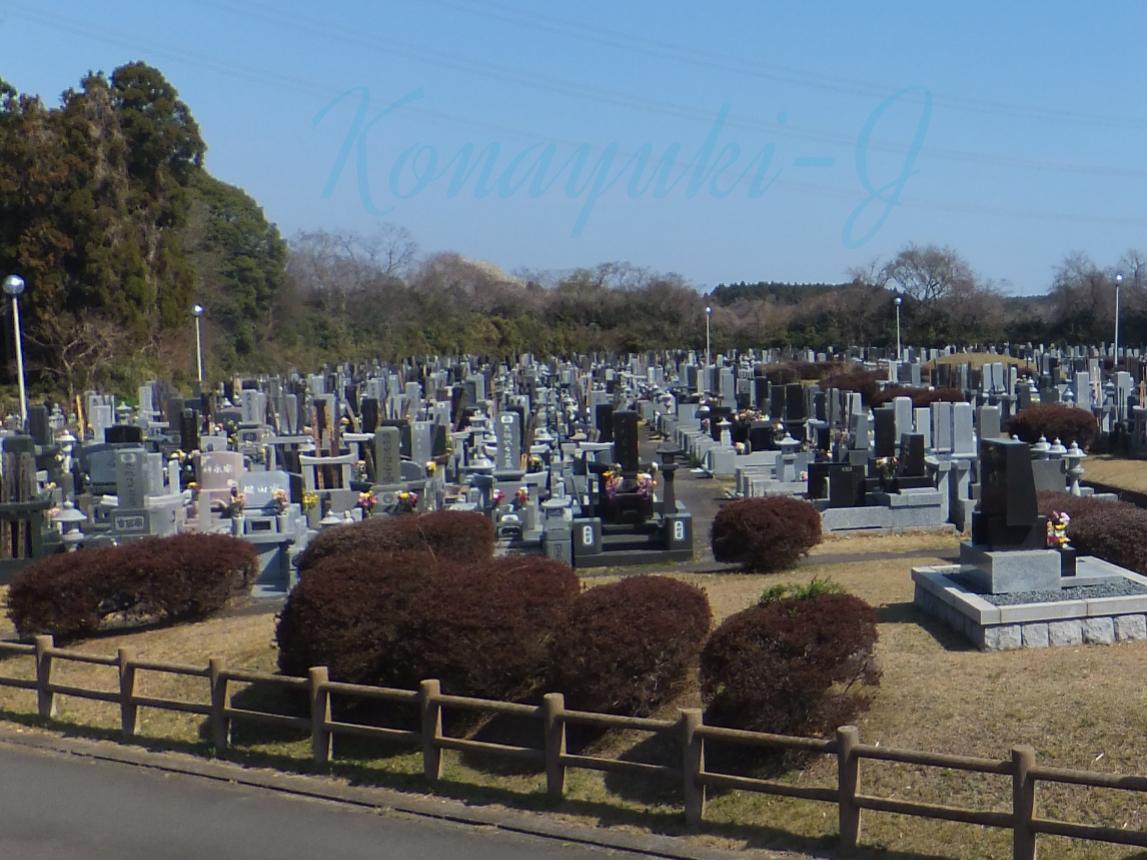 ひたちなか市営高野墓地
