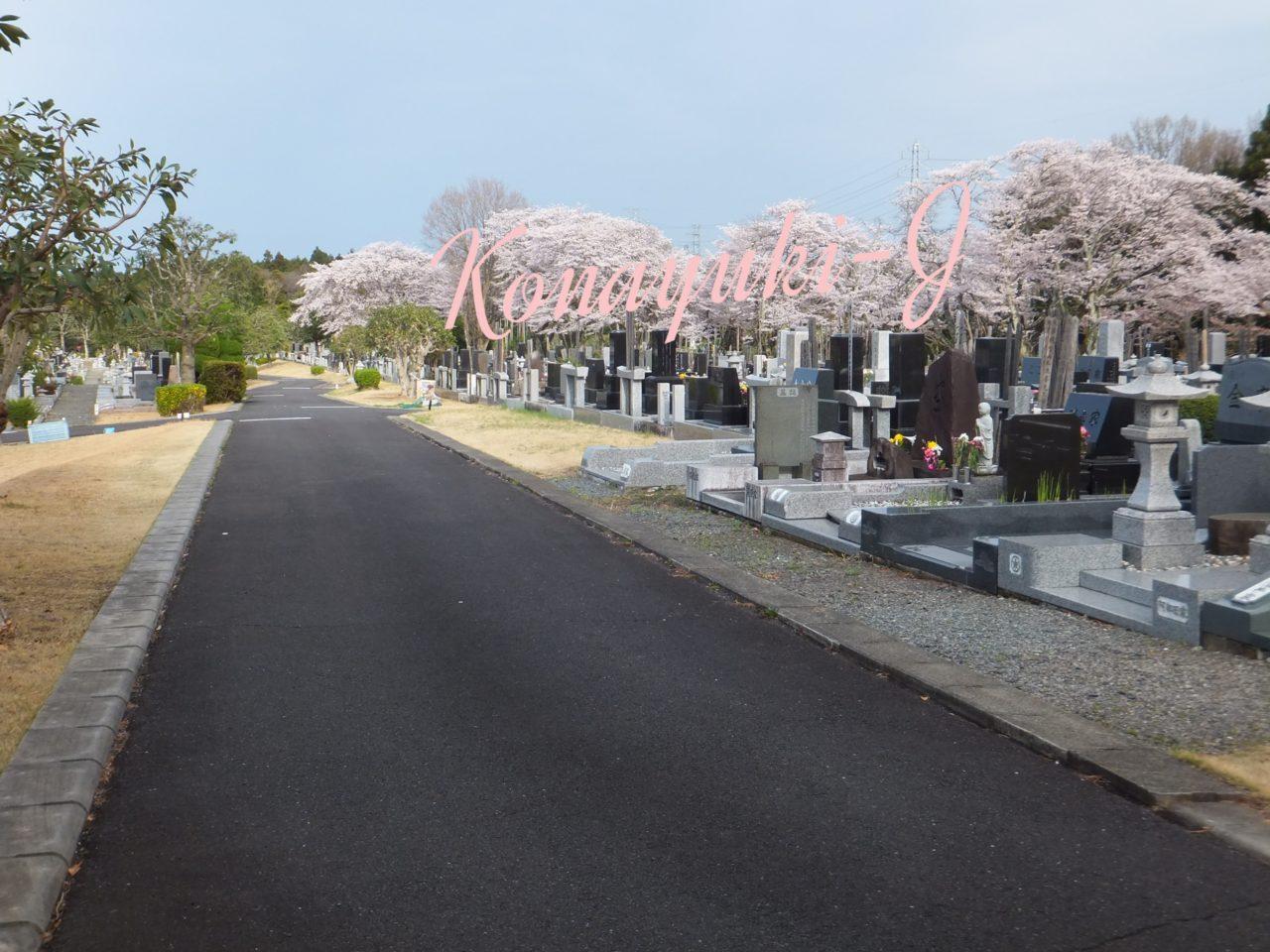 水戸市浜見台霊園