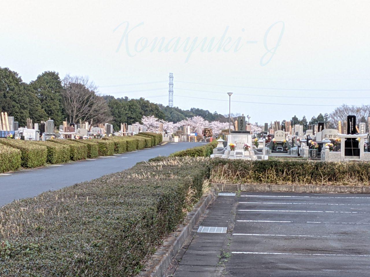 石岡市半ノ木霊園