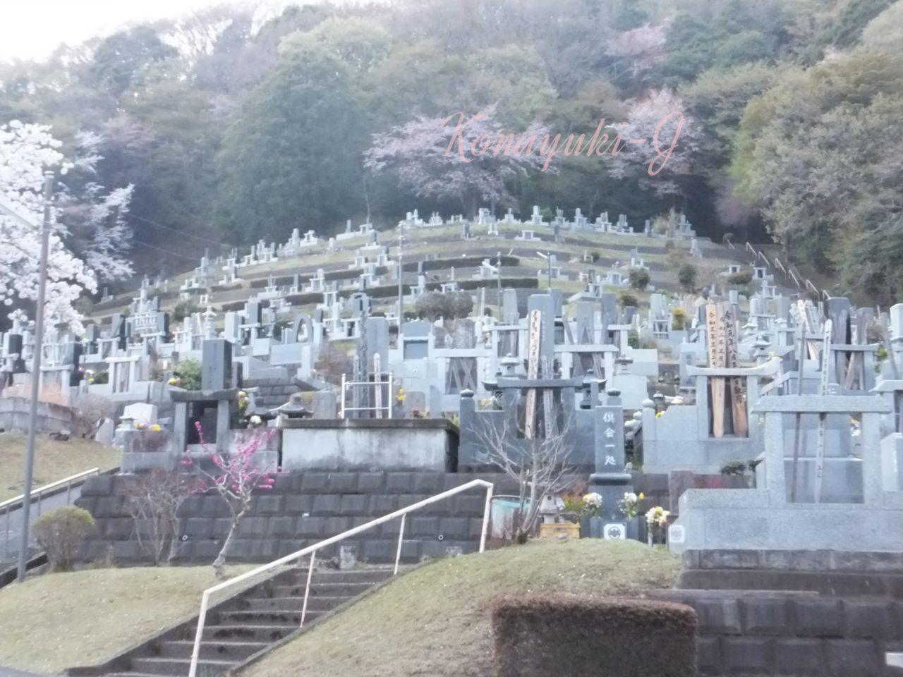 石岡市龍神山霊園
